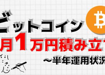 【ビットコイン】月1万円の積立でも20年後2900万円に！？