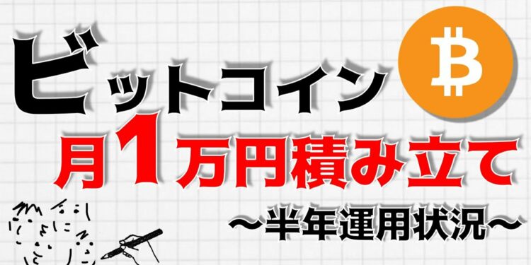 【ビットコイン】月1万円の積立でも20年後2900万円に!?