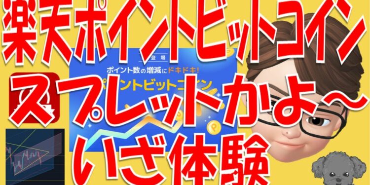 【063】楽天ビットコイン1か月ドキドキ体験してみた