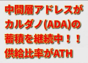 カルダノ(ADA)のシャーク（中間層のサメ）アドレスが蓄積フェーズを継続中！真の価値を求める機関投資家の取引量も急増！