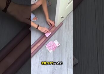 アメージングドアガジェット 😯