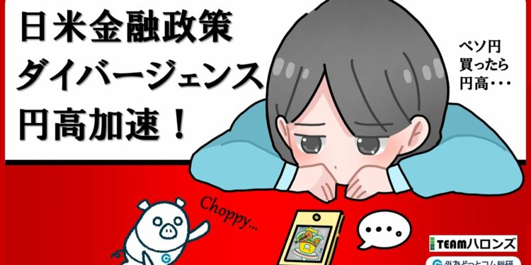 FXのライブ解説、日米金融政策「ダイバージェンス」で円高加速！ (2024年8月1日)