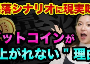 ビットコイン暴落の可能性がヤバい？ウクライナ情勢や株価の影響とビットコイン価格はもう上がらない？【 ビットコイン 仮想通貨 ウクライナ情勢 日経平均 】
