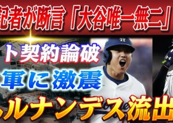 🔴🔴【19日のスポーツニュース】大谷が『唯一無二の英雄』と米記者が断言！ソトの7億ドル契約を完全論破！主力ヘルナンデス流出でドジャースのチームに激震…！大谷翔平超大型スポンサー契約締結
