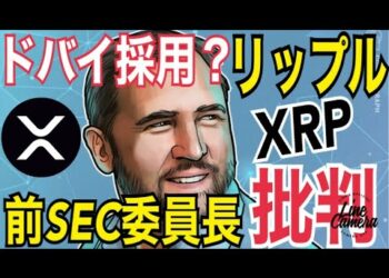 リップルCEO元SEC委員長を批判！ドバイ国際金融センターでXRPが認定コインに追加で需要拡大か！？