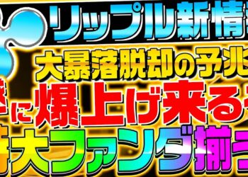 【XRP保有者に速報!!】リップル激熱ファンダに備えろ‼︎仮想通貨の爆上げカウントダウン開始か⁉︎【暗号資産】【ビットコイン】