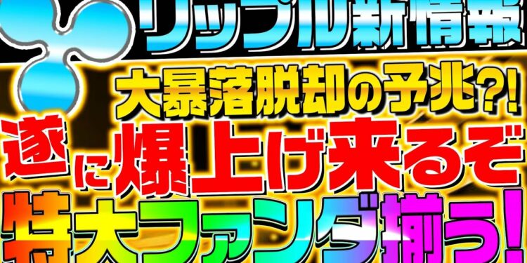 【XRP保有者に速報!!】リップル激熱ファンダに備えろ‼︎仮想通貨の爆上げカウントダウン開始か⁉︎【暗号資産】【ビットコイン】
