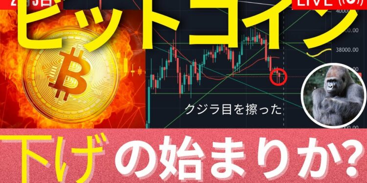 ビットコインは$35,500へ下げ途中。英銀利上げ、ECB利上げなし、SOLがエコ#1 #BTC #ETH #仮想通貨