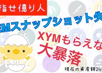 ネム(XEM)スナップショット失敗で最悪の展開！シンボル(XYM)貰えない、価格暴落、、、【第２話】