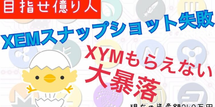 ネム(XEM)スナップショット失敗で最悪の展開！シンボル(XYM)貰えない、価格暴落、、、【第２話】