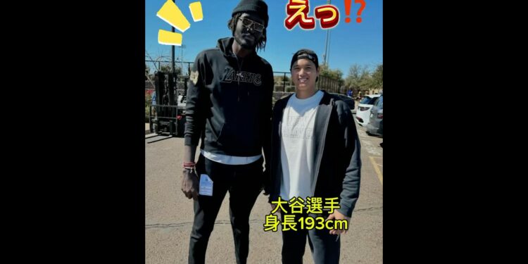 大谷翔平選手が小さく見える💦信じられない光景#ドジャース #メジャーリーグ#野球＃Mamadou Ndiaye#ママドゥ・ンジャイ