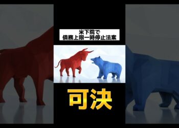 【金融ニュース】米下院で債務上限一時停止法案が可決‼︎バイデン、マッカーシー一安心