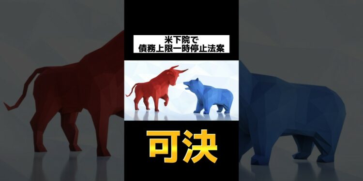 【金融ニュース】米下院で債務上限一時停止法案が可決‼︎バイデン、マッカーシー一安心