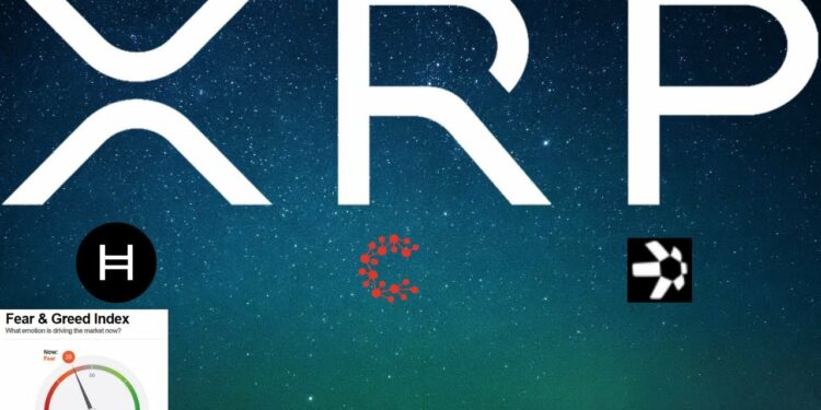 Fear & Greed 💥 Ripple XRP News XLM HBAR Decentralized Identities for Web 3 📈 Bitcoin Retracement