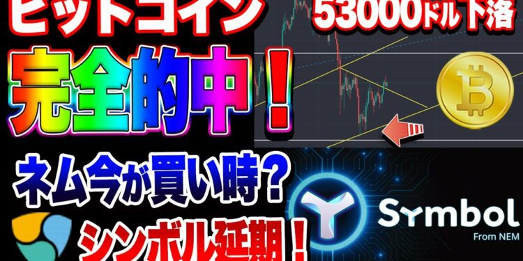【仮想通貨】ビットコイン完全的中!シンボル延期!ネムは今が買い時?チャンス!!
