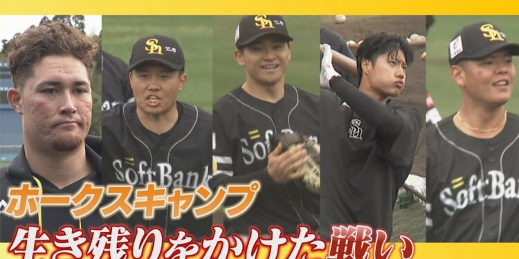 福岡ソフトバンクホークス　5年ぶりの日本一奪還を目指しキャンプイン　注目は正捕手争い