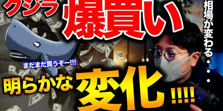 【ビットコインクジラ爆買い】底打ちか。判断基準は〇〇。BTC ETH XRP SOL BNB BCH