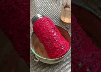 पोम्पु का नया वॉटर बोतल🍼~New viral gadget,Smart appliances,Kitchen utensils/Home inventions #shorts