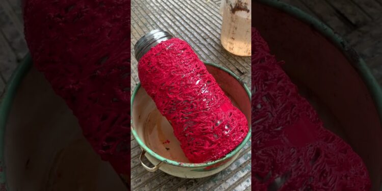 पोम्पु का नया वॉटर बोतल🍼~New viral gadget,Smart appliances,Kitchen utensils/Home inventions #shorts