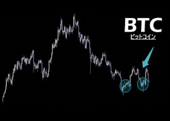 新たな学び・気づきがあったので皆さんに共有します【BTC ビットコイン】