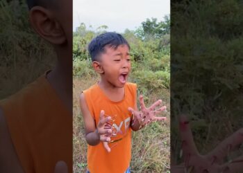 Introducing the “VitaWear SmartBand,” a next-generation wearable gadget🎉P3168