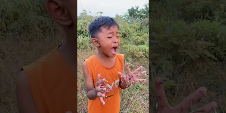 Introducing the “VitaWear SmartBand,” a next-generation wearable gadget🎉P3168