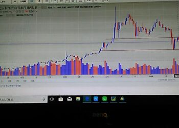 仮想通貨格付けは気にする必要なし