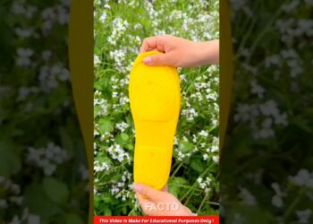 Durable Shoe Covers🥶❓-New viral gadget,Smart appliances,Kitchen utensils/Home inventions #shorts