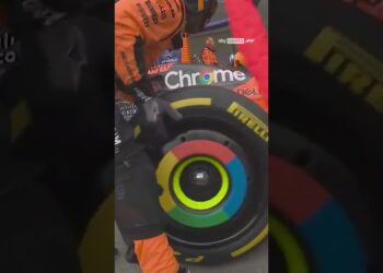 マックス・フェルスタッペンとランド・ノリスのピットレーン衝突の未公開アングル👀