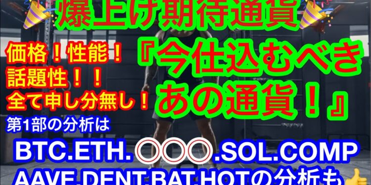 【仮想通貨 BTC.ETH.🚀.SOL.COMP.AAVE.DENT.BAT.HOT】 ビットコインのクジラ🐳に又動きが‼️アルトコインの上げも一服❗️❓皆様お忘れ❗️❓あの注目通貨😊👍