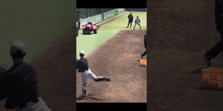 【巨人】坂本勇人選手のセカンド送球 #shorts #baseball #sports #ジャイアンツ #巨人 #プロ野球