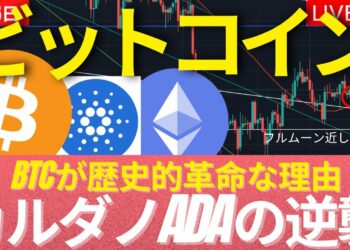 【1日1回投稿】カルダノADAが遂に上昇か？ビットコインが歴史的な革命である理由　 #BTC #ETH #仮想通貨