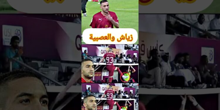 زياش يتعصب على مدربه في النادي والسبب #news #football #زياش #المغرب #النصر #الجزائر #news #الجزيرة