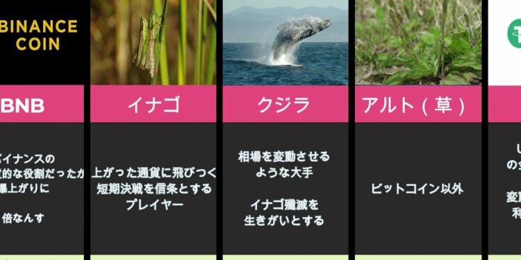 【1分動画】今更聞けない！仮想通貨用語・スラング集【12選】