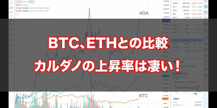 カルダノADA |年始からの価格上昇率を比較(ビットコイン・イーサリアム)