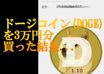 その1　2017年頃にドージコイン(Doge coin)を3万円分買った結果…