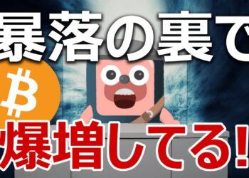 ビットコイン暴落の裏で信じられない爆増が続いている