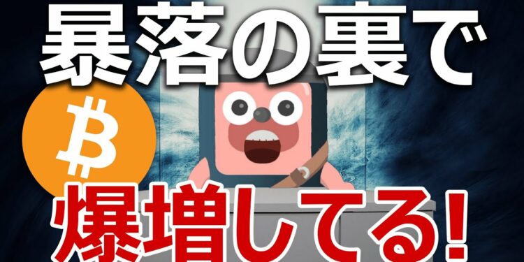 ビットコイン暴落の裏で信じられない爆増が続いている