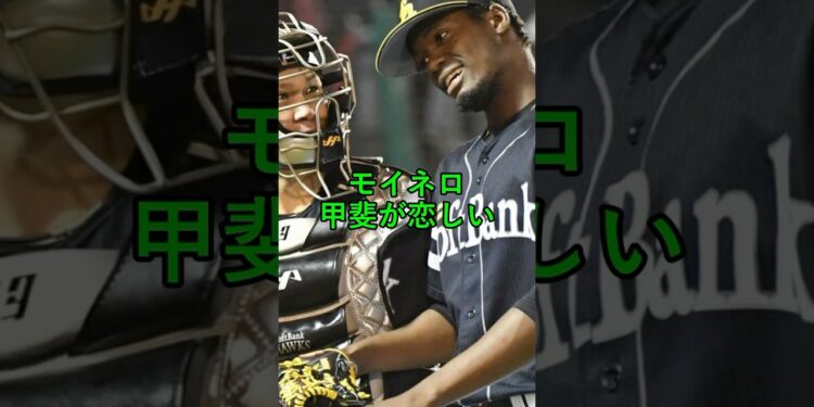 モイネロ、甲斐が恋しい #ソフトバンクホークス #ホークス #プロ野球 #プロ野球ニュース