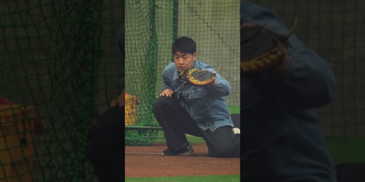 【巨人】捕手、岡本和真選手のフレーミング #shorts #baseball #sports #ジャイアンツ #巨人 #プロ野球