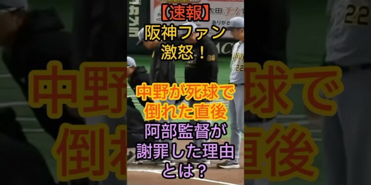 【速報】 阪神ファン 激怒! 中野が死球で倒れた直後 阿部監督が 謝罪した理由とは?#阪神タイガース#巨人#中野拓夢#死球#高梨雄平#阿部監督#藤川監督#東京ドーム#プロ野球