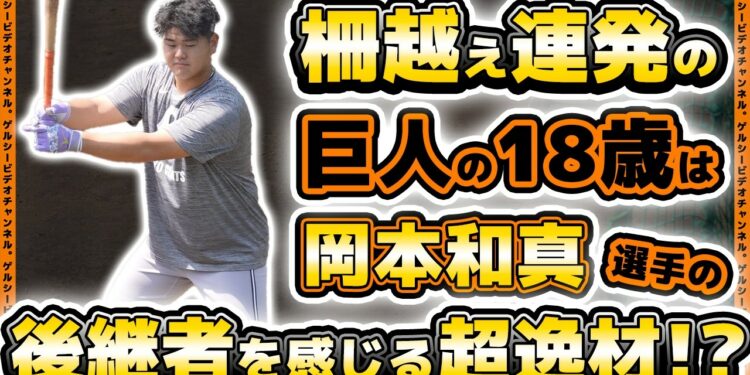【巨人】柵越え連発の18歳は岡本和真選手の後継者を感じる超逸材!?坂本勇人&丸佳浩選手の豪華打撃練習から始まった、読売ジャイアンツ練習見学ハイライト|プロ野球ニュース