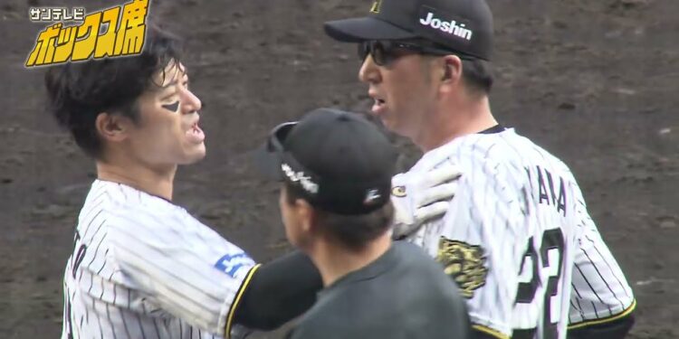 【エキサイト】藤川監督激怒!坂本誠志郎選手への頭部死球で両軍ベンチから監督選手が飛び出す事態に(2025年4月20日 阪神ー広島) #サンテレビボックス席
