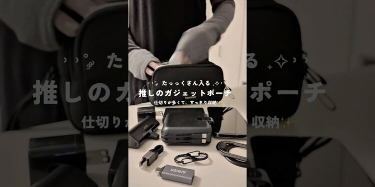 これで解決💡ガジェットを整理するならこれ一択✨#ガジェットポーチ#ガジェット収納#ガジェット女子 #ガジェット #ガジェット紹介 #amazon #amzonproduct#pr