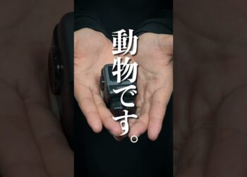 【子供ウケ抜群】UGREEN Nexode RG65Wがやばすぎる。 #ガジェット #ライフハック#デスク周り#ブラックフライデー