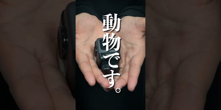 【子供ウケ抜群】UGREEN Nexode RG65Wがやばすぎる。 #ガジェット #ライフハック#デスク周り#ブラックフライデー