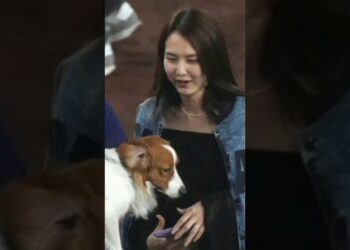 「大谷家の極秘儀式」 #プロ野球 #スポーツニュース #野球 #野球ファン #mlbファン #野球ニュース #mlb #試合結果 #野球速報 #野球観戦