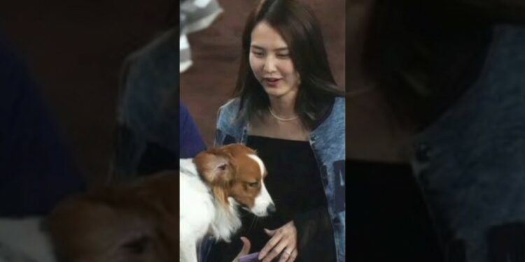 「大谷家の極秘儀式」 #プロ野球 #スポーツニュース #野球 #野球ファン #mlbファン #野球ニュース #mlb #試合結果 #野球速報 #野球観戦