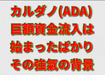 カルダノ(ADA)による巨額の資金流入は「始まったばかり」。チャールズさんも相場も強氣の理由とは？！