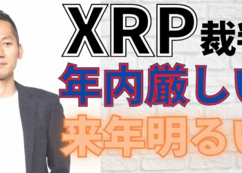 【XRP】リップル裁判は年内決着は無理！ただし本来の用途に採用され来年のマーケットは明るい！